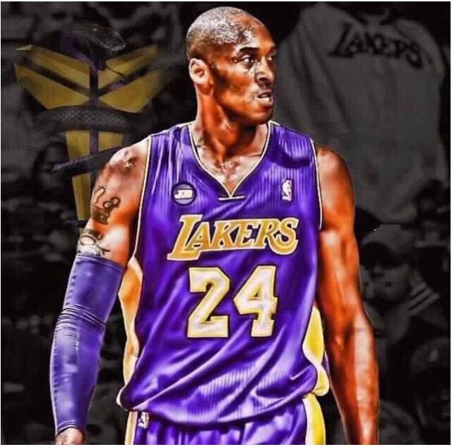 鉴的案例 鉴的案例